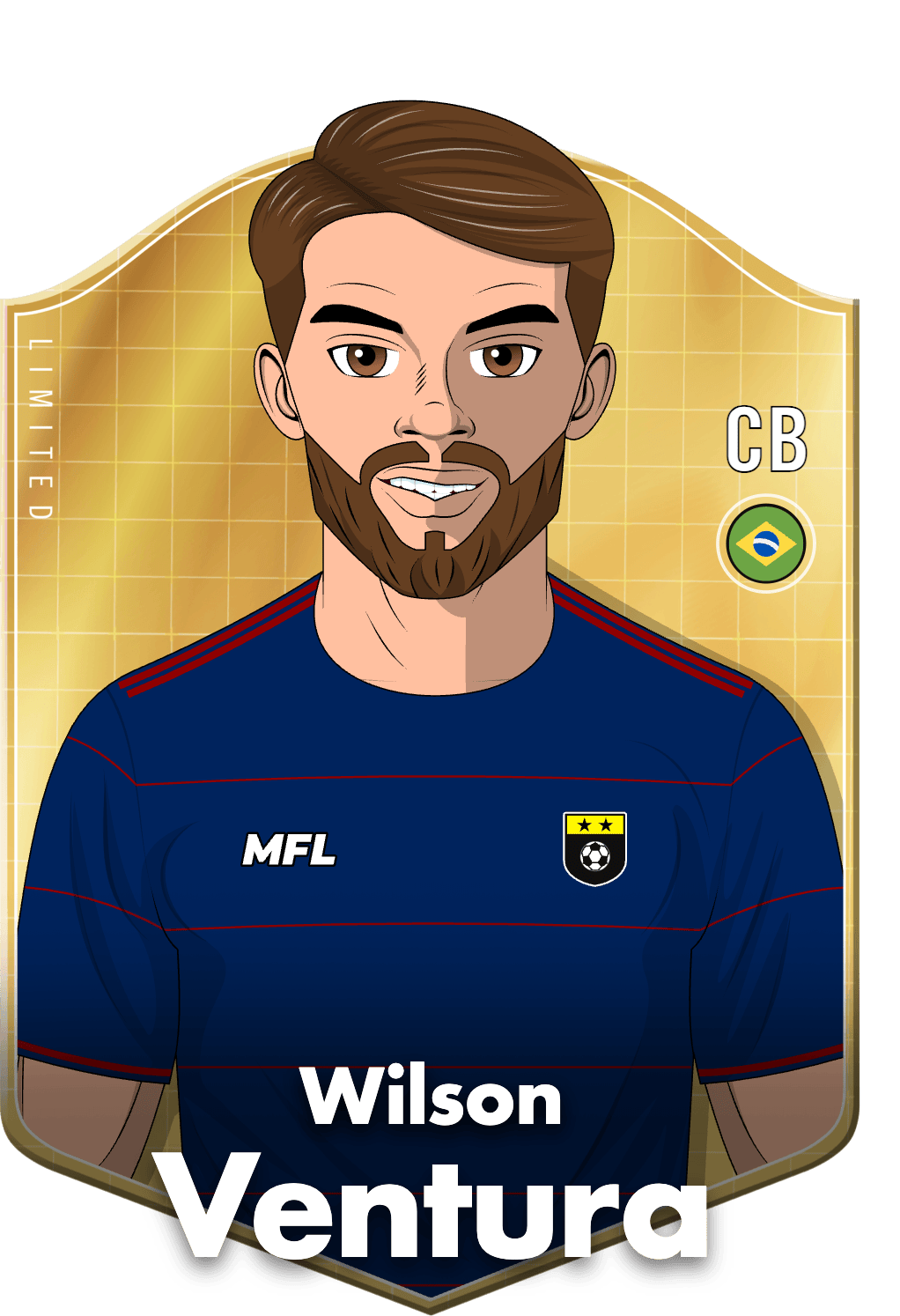 Wilson Ventura asset