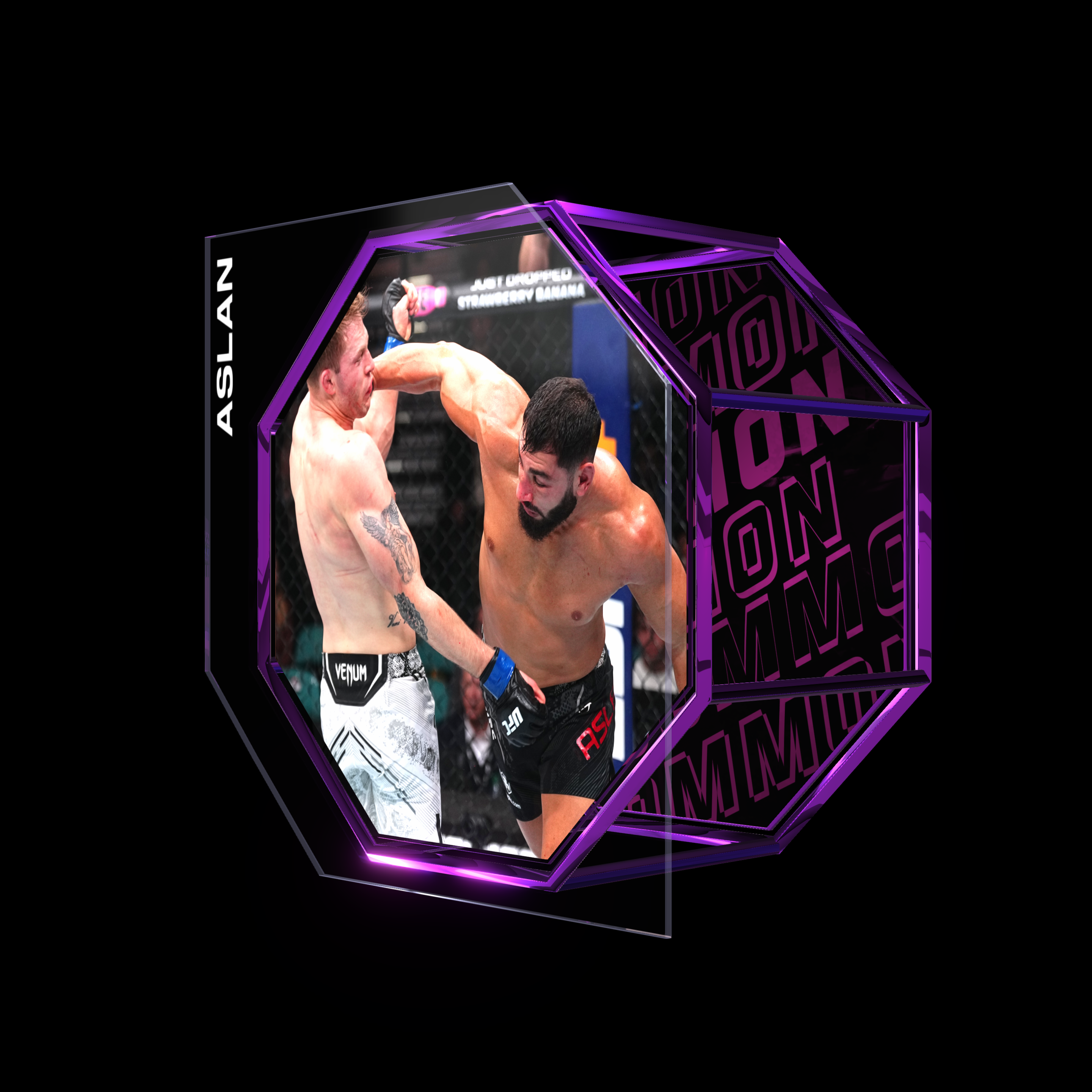 IBO ASLAN | UFC FIGHT NIGHT MAR 30, 2024 | KO/TKO asset