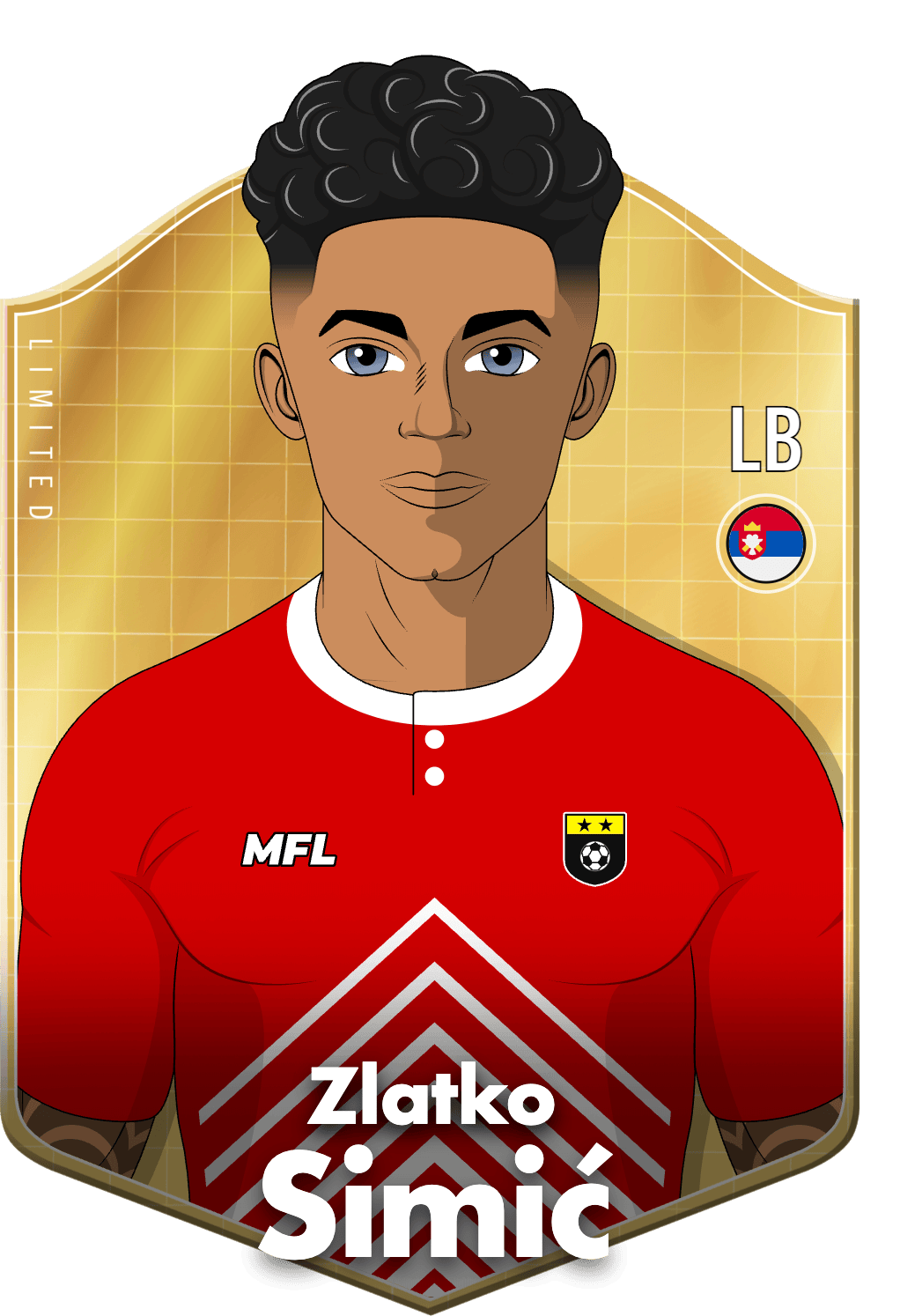 Zlatko Simić asset