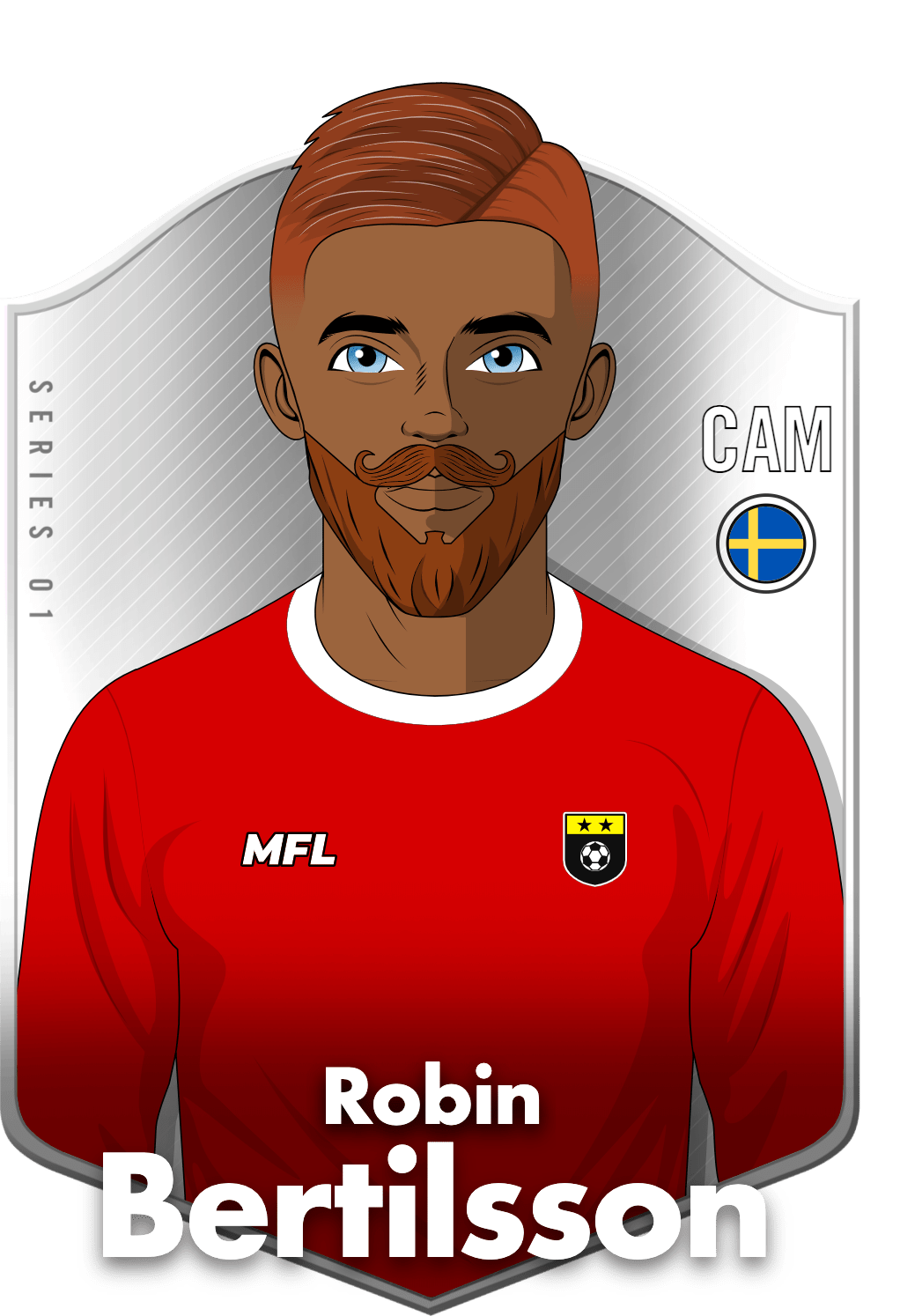 Robin Bertilsson asset