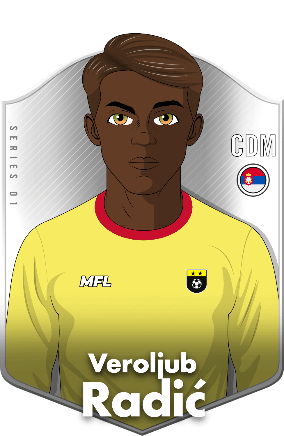 Veroljub Radić asset