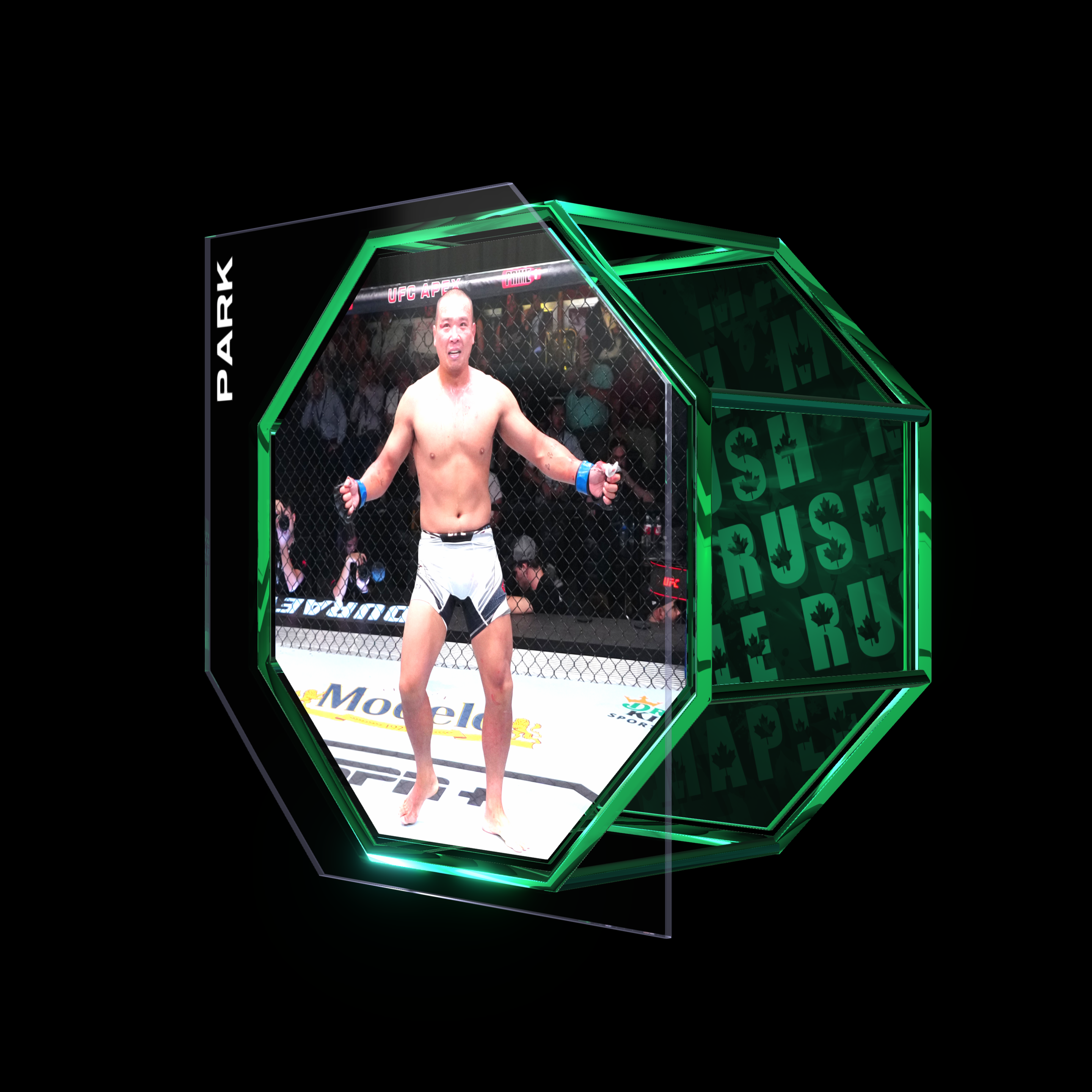 JUN YONG PARK | UFC FIGHT NIGHT JULY 15, 2023 | SUBMISSION asset