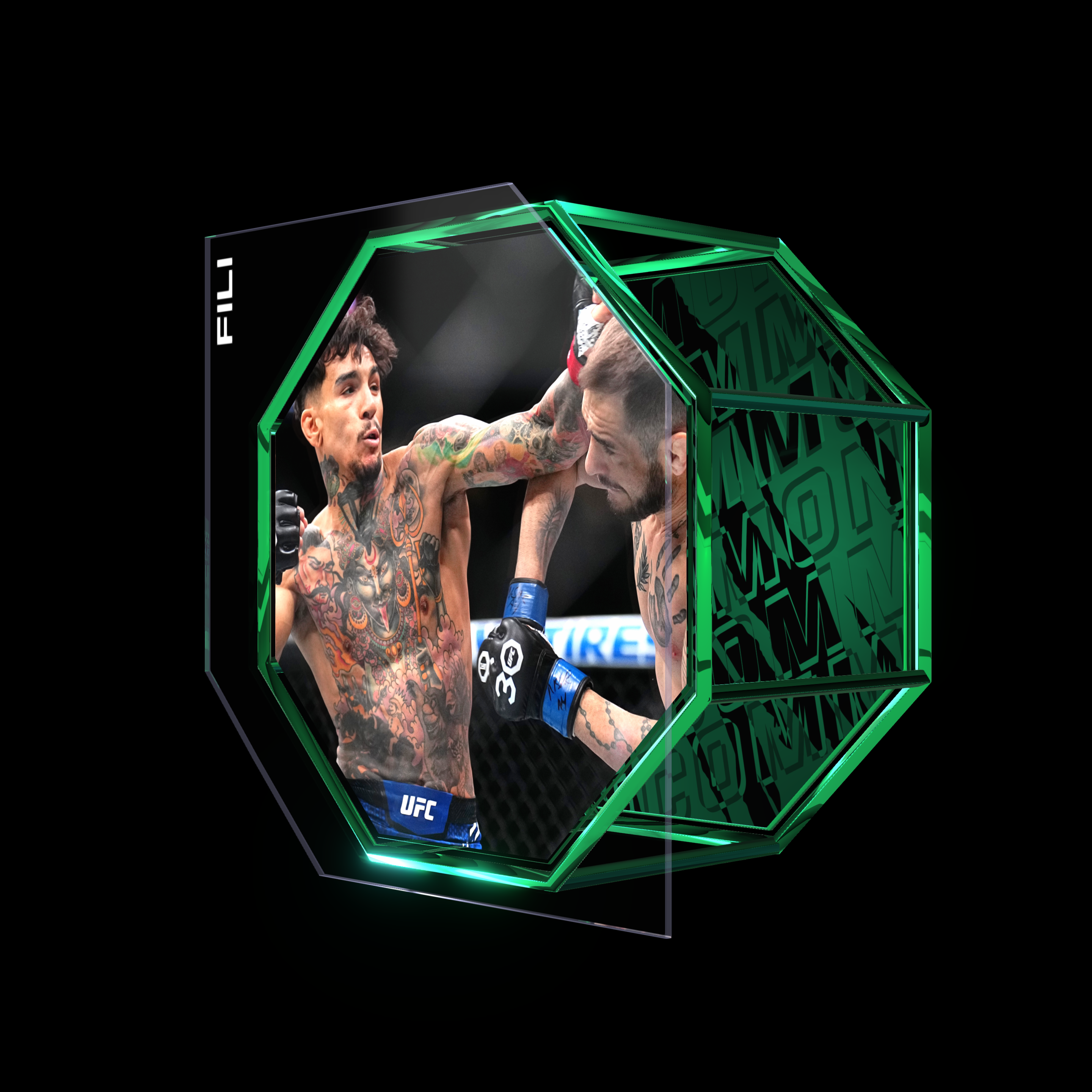 ANDRE FILI | UFC 296 | KO/TKO asset