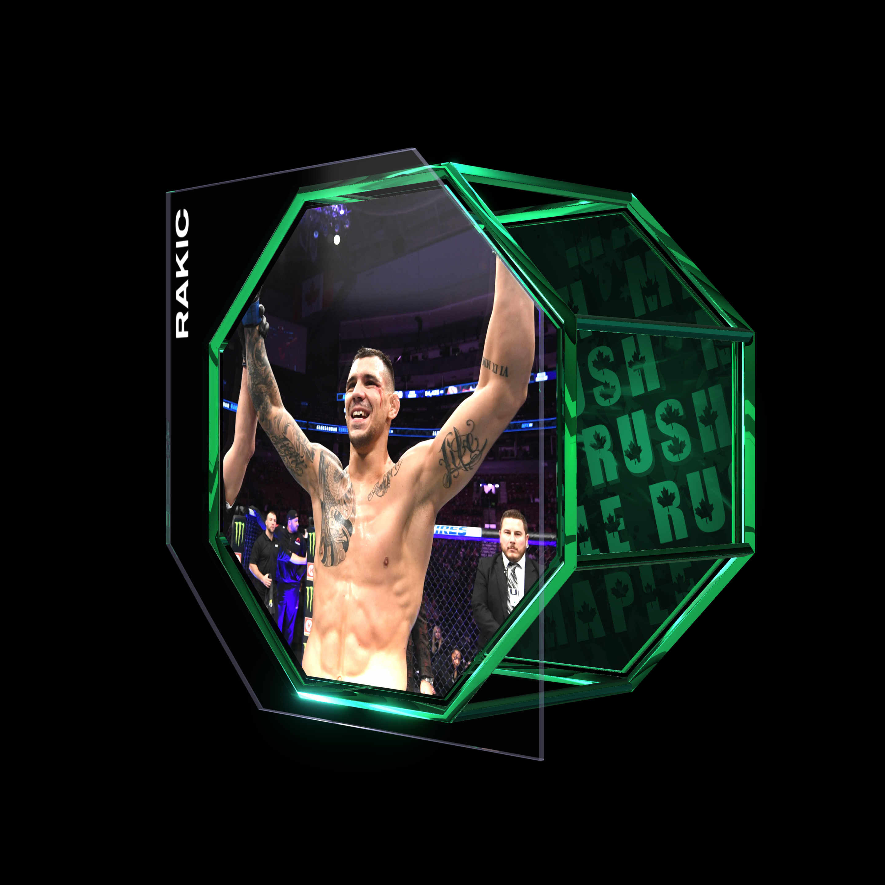 ALEKSANDAR RAKIC | UFC 231 | KO/TKO