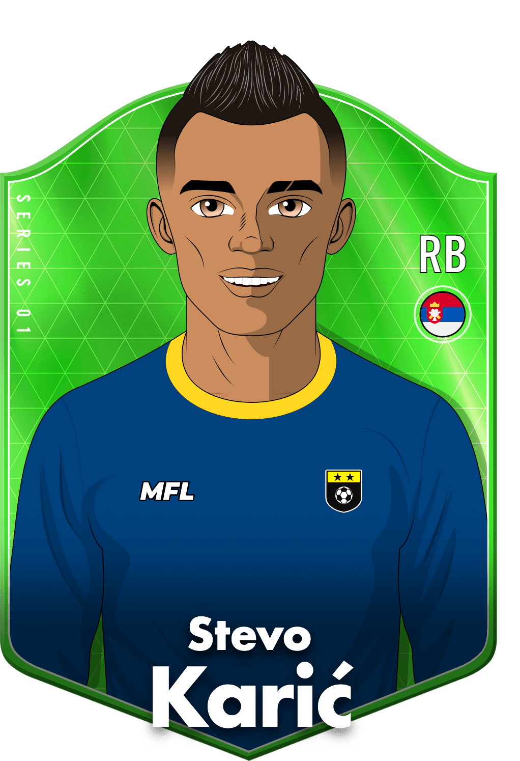 Stevo Karić asset