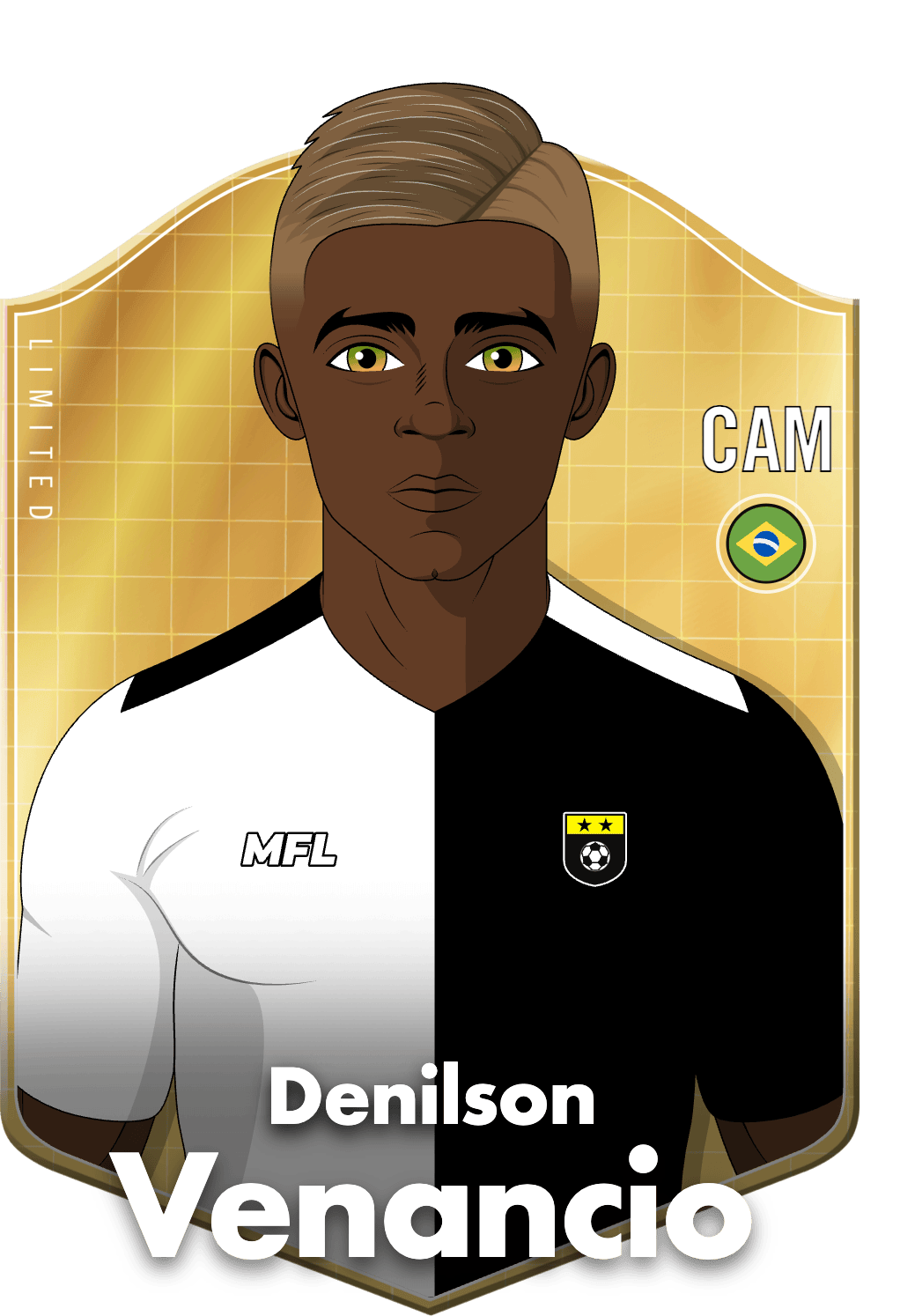 Denilson Venancio asset