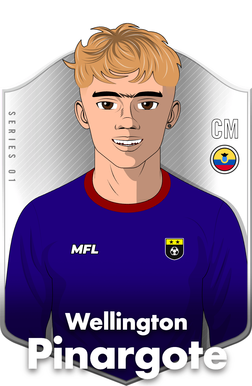 Wellington Pinargote asset