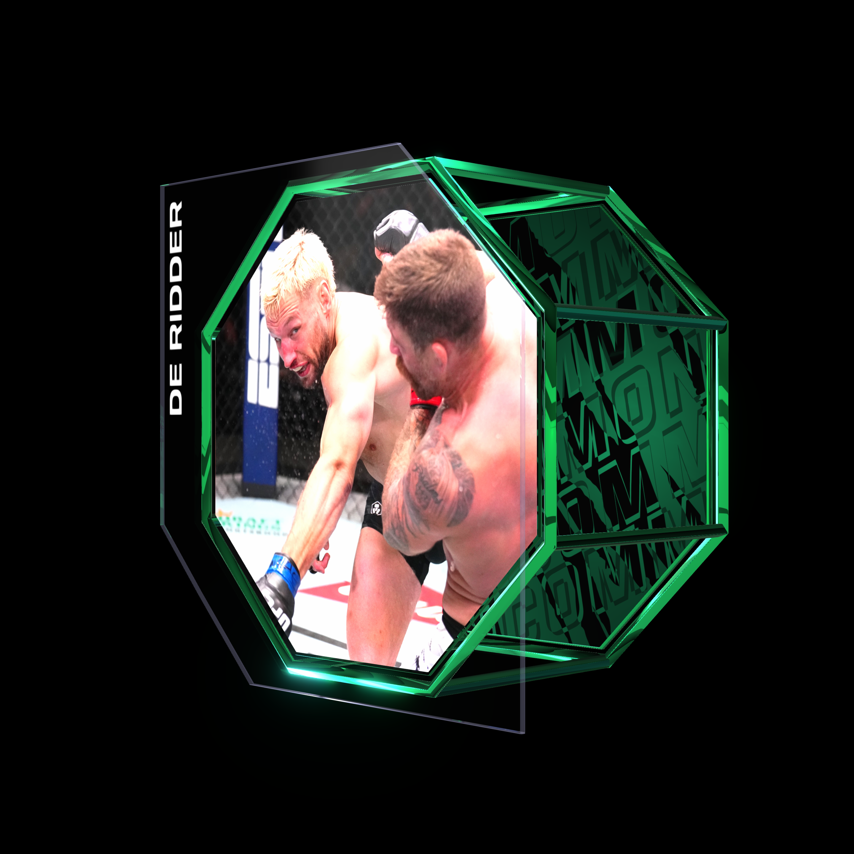 REINIER DE RIDDER | UFC FIGHT NIGHT NOV 09, 2024 | SUBMISSION asset