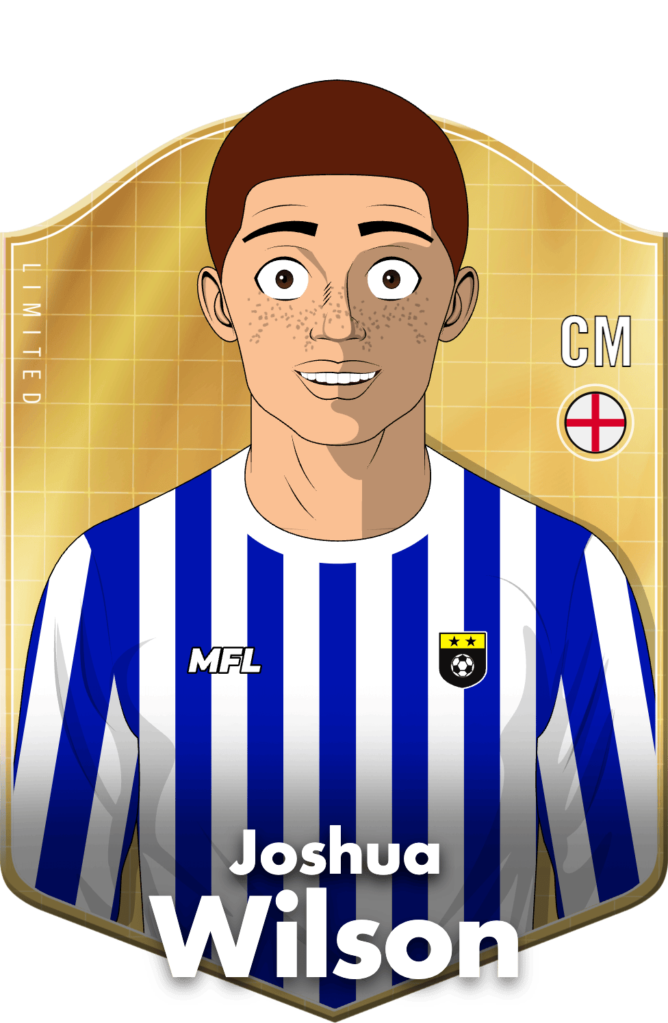 Joshua Wilson asset