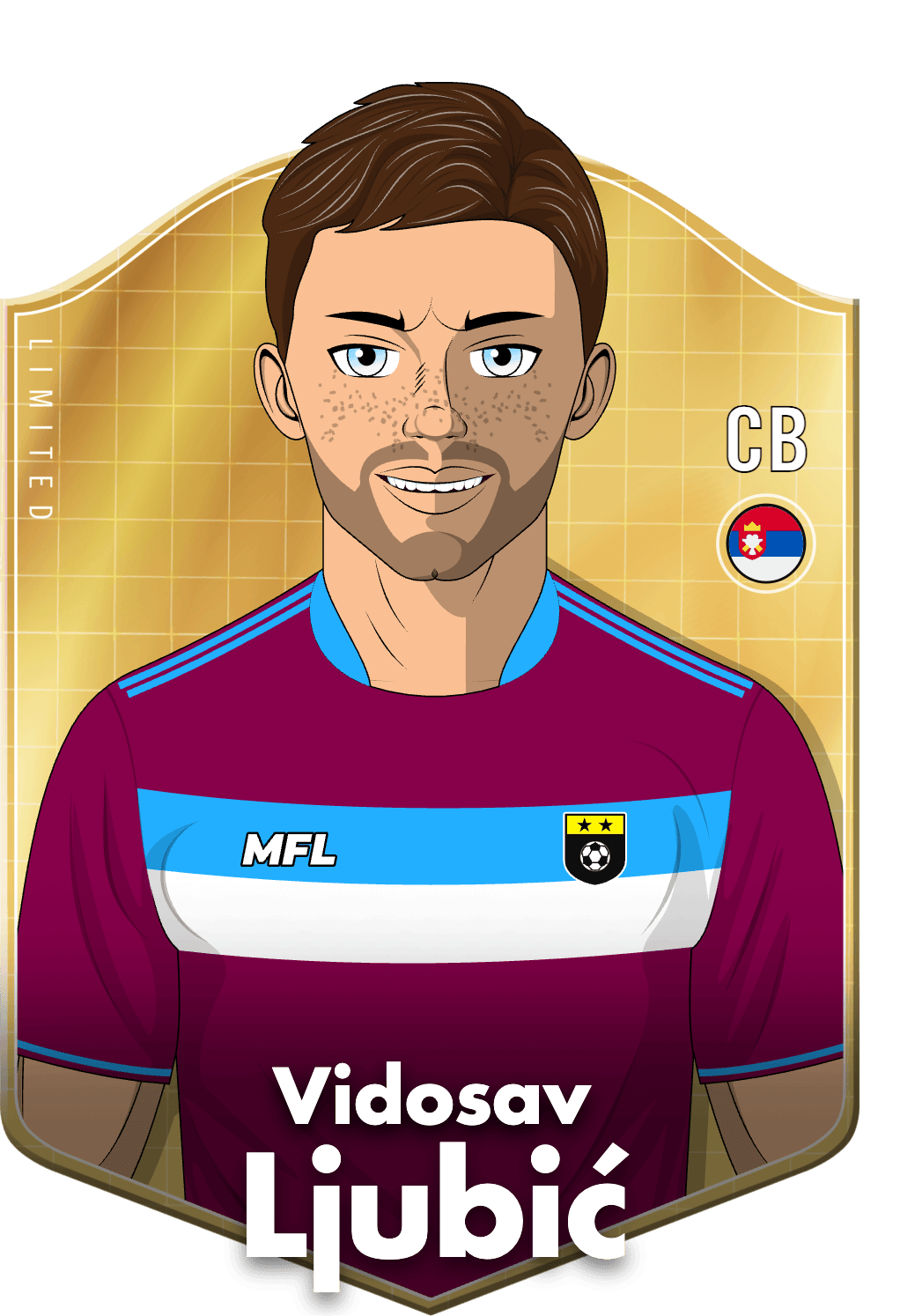 Vidosav Ljubić asset