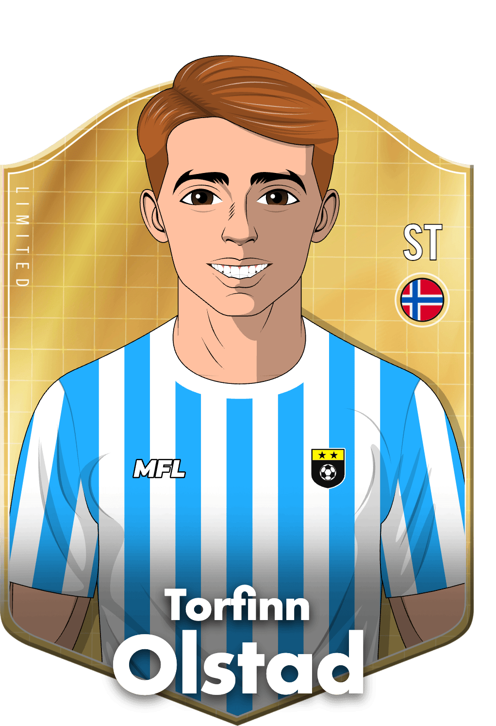 Torfinn Olstad asset