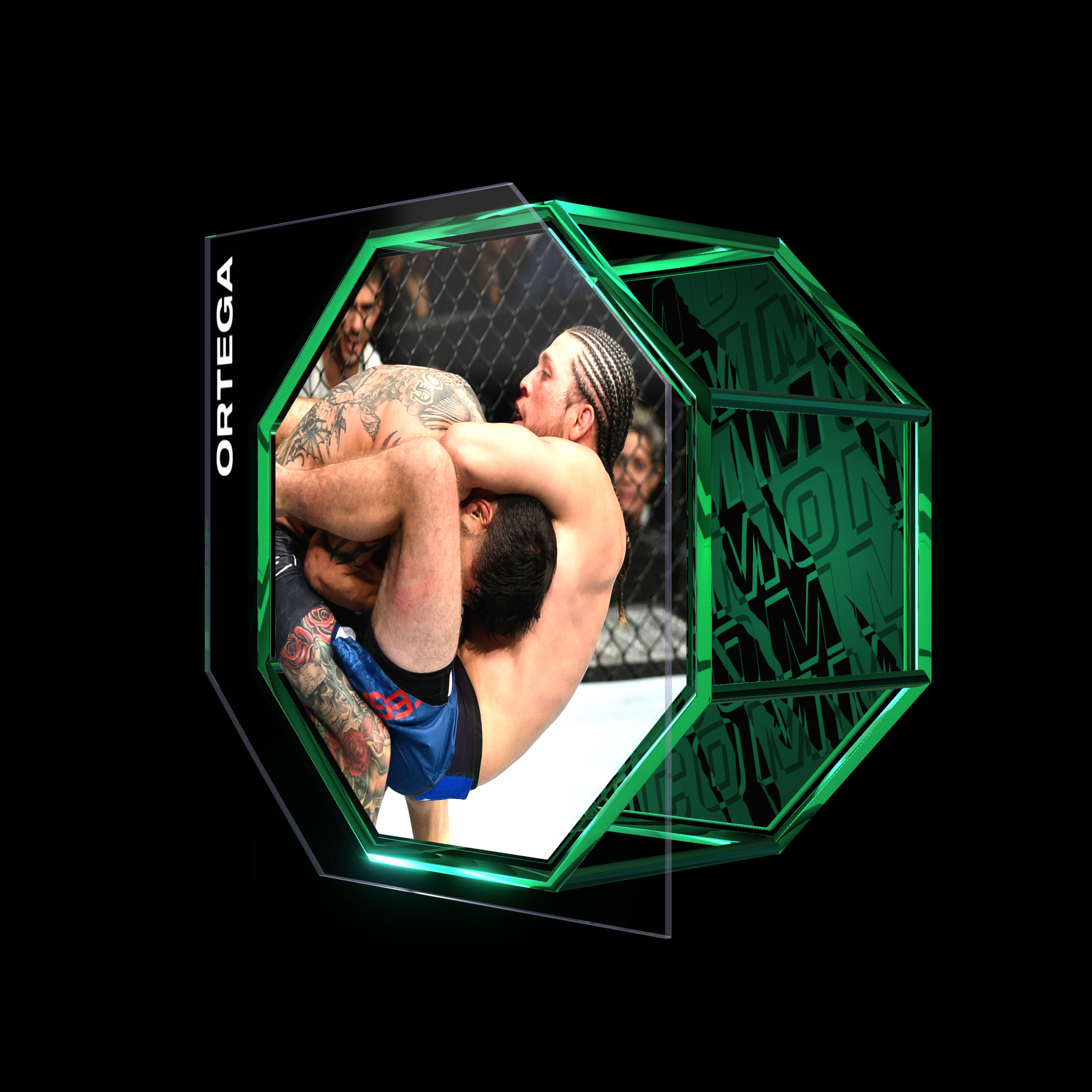 BRIAN ORTEGA | UFC FIGHT NIGHT DEC 9, 2017 | SUBMISSION asset