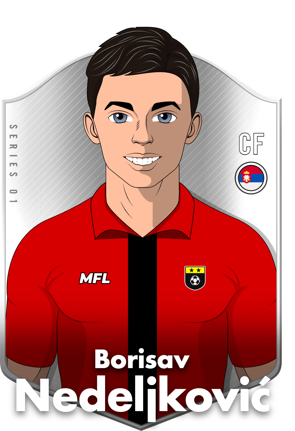 Borisav Nedeljković asset
