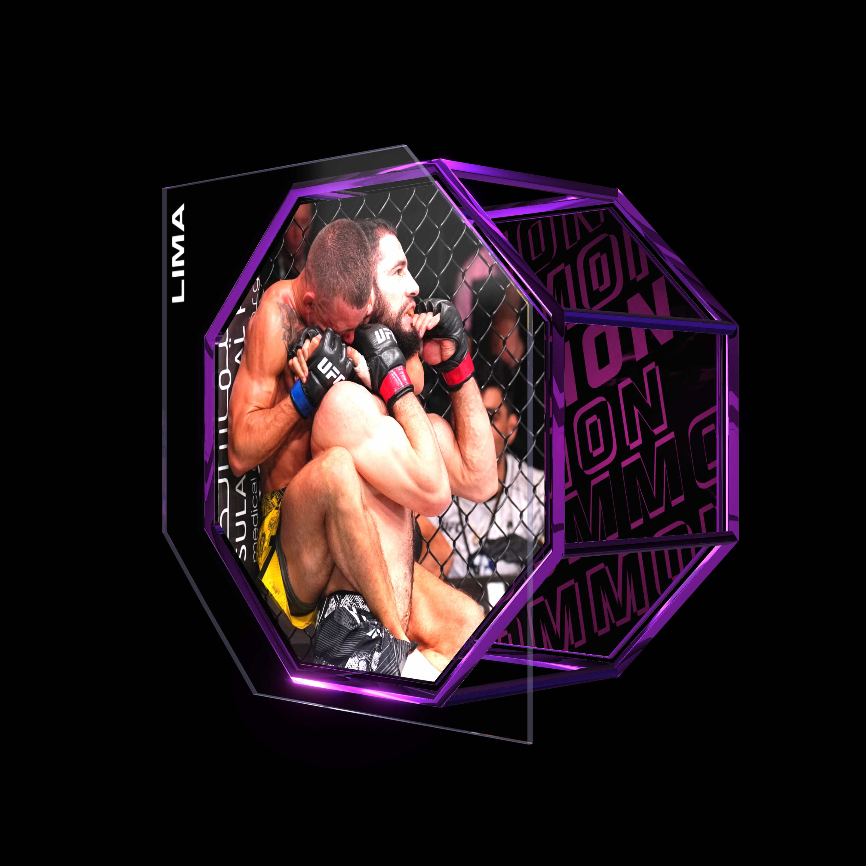 FELIPE LIMA | UFC FIGHT NIGHT JUN 22, 2024 | SUBMISSION asset