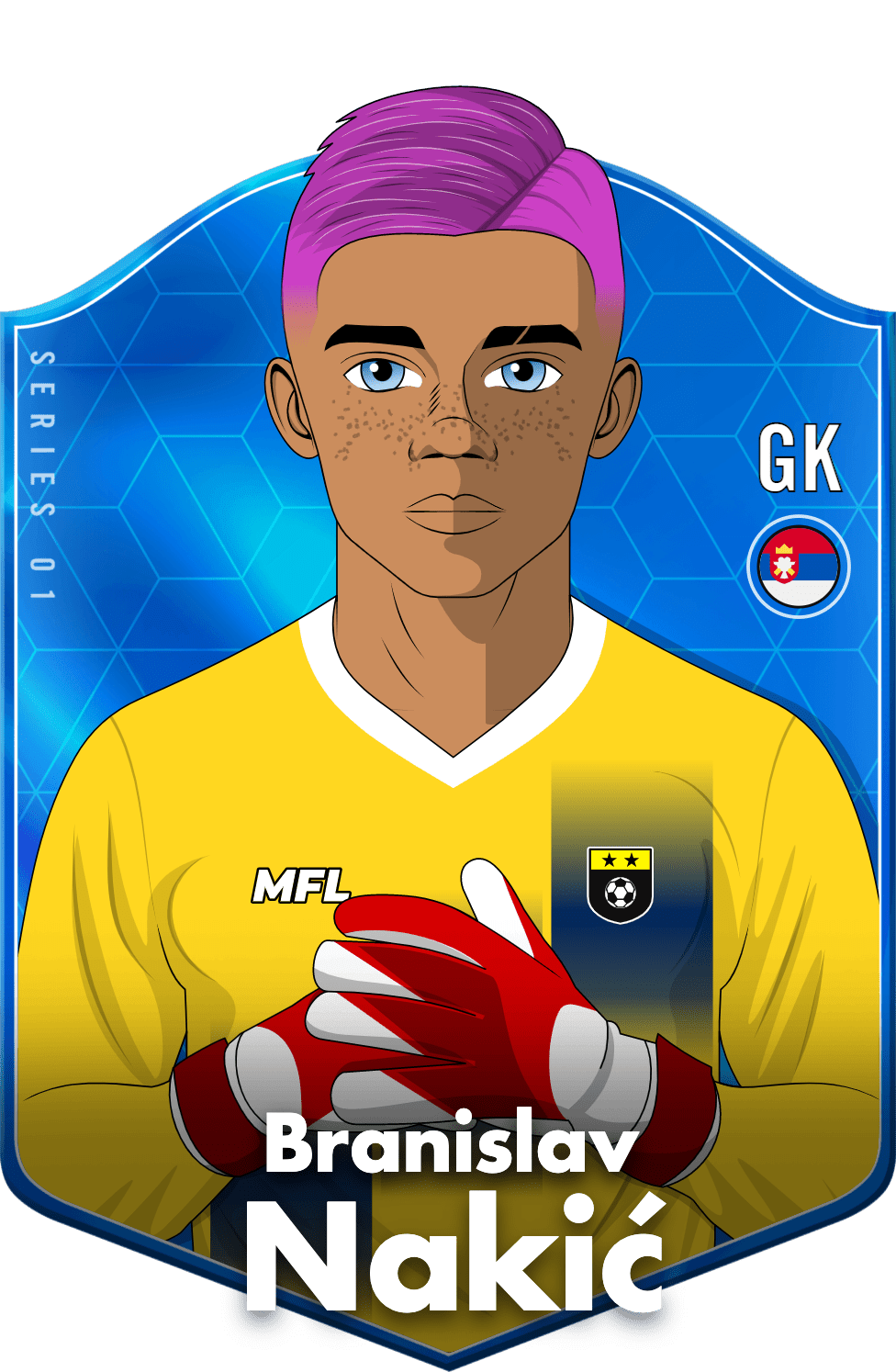 Branislav Nakić asset