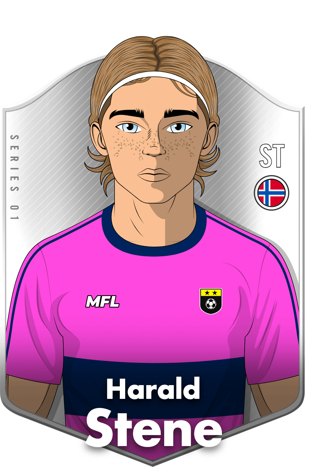 Harald Stene asset