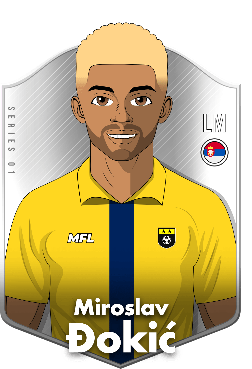 Miroslav Đokić asset