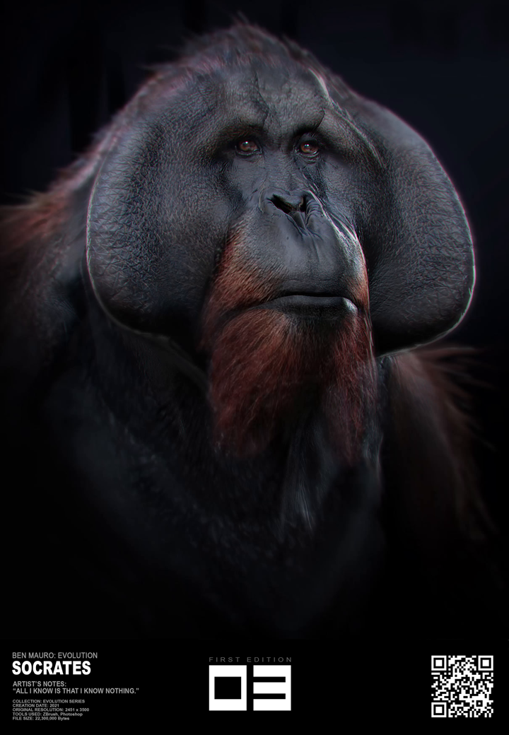 Socrates asset